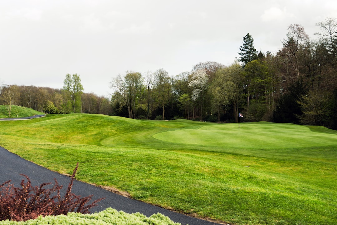 A green golf course with trees and a flag