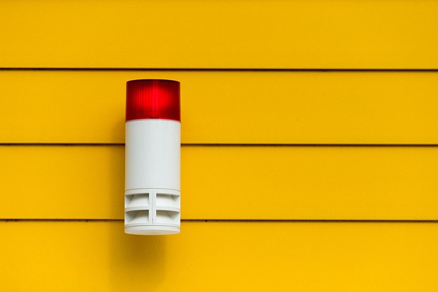 Mundelein Illinois alarm system services