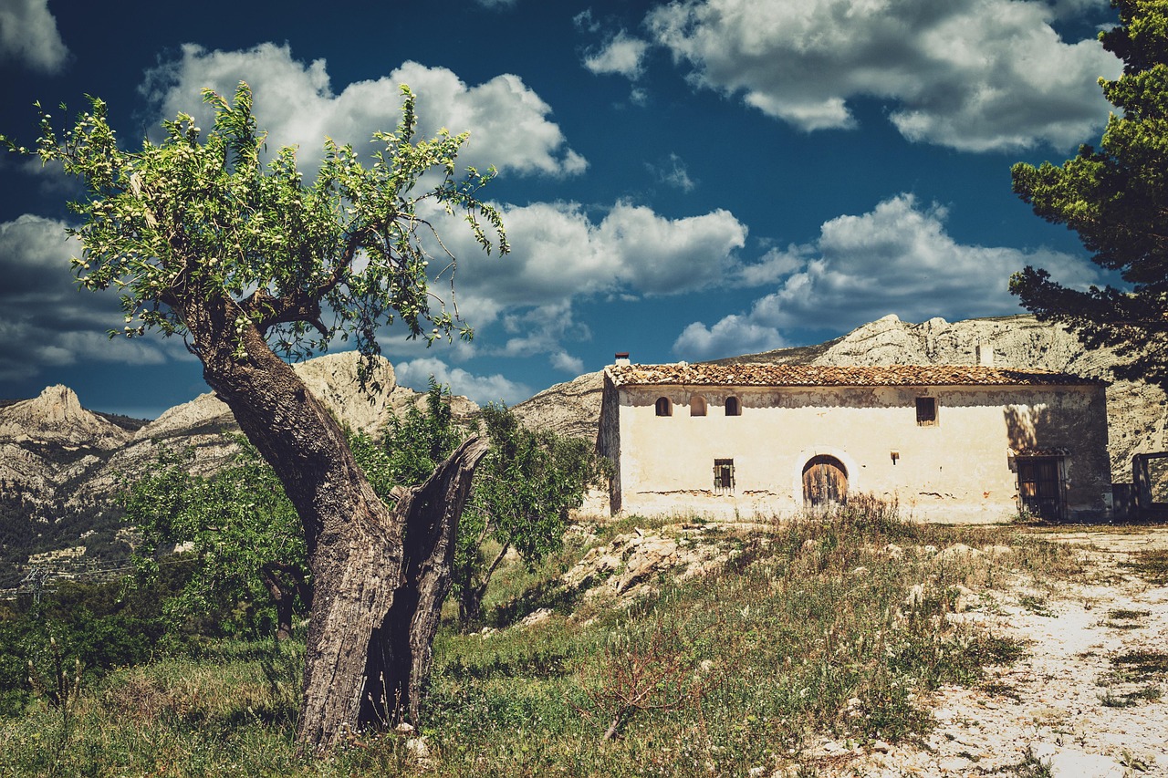 Elk Grove Village, IL